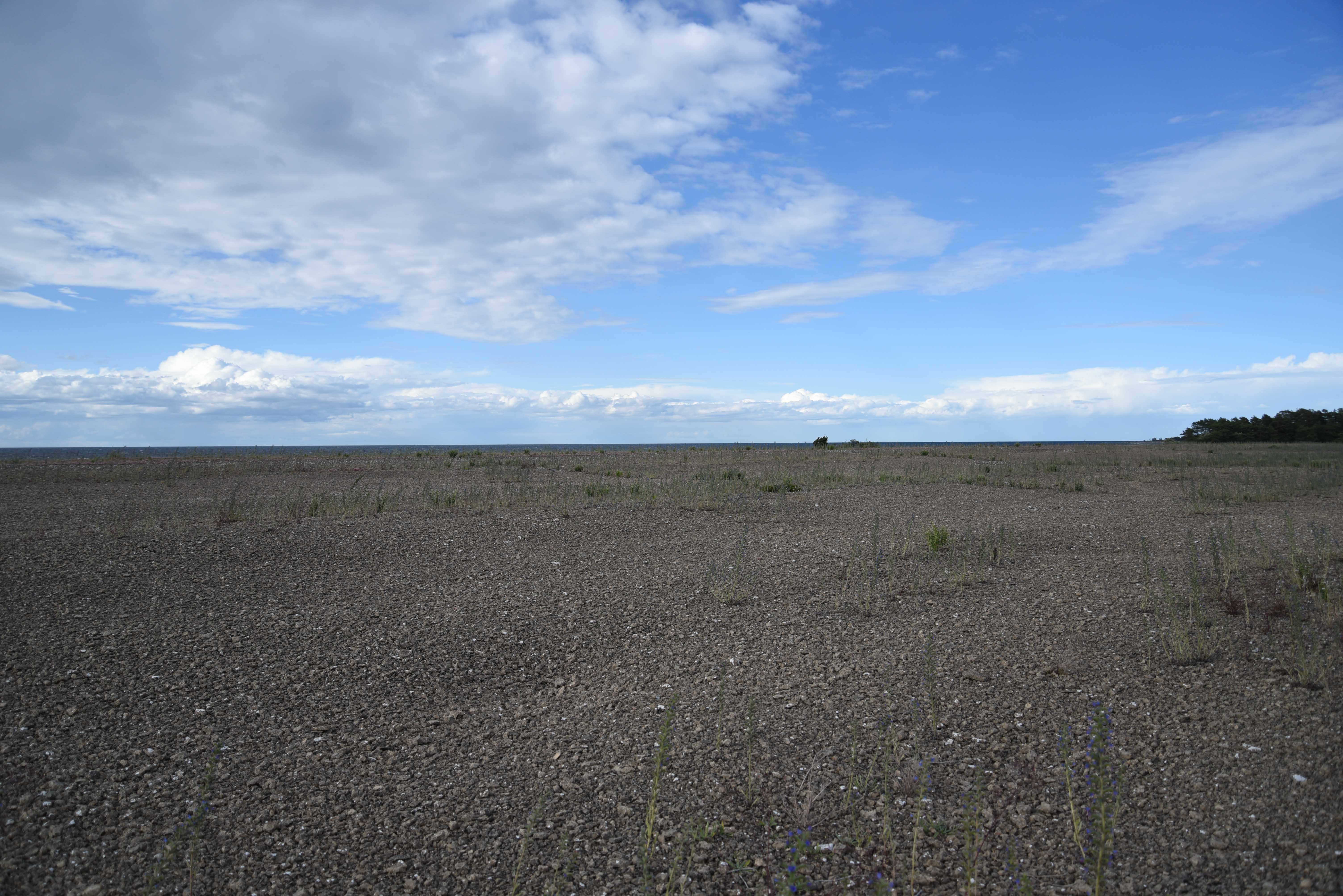 neptuni åkrarVLJ_2162