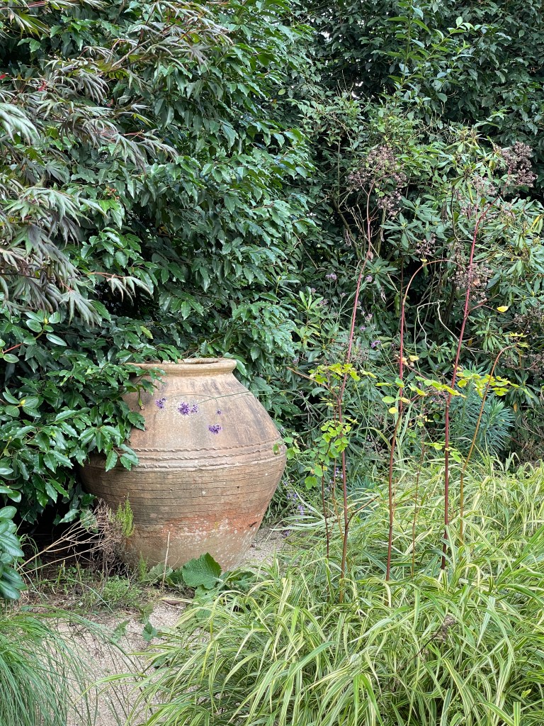 Jardin Agapanthe. Copyright Viveka Ljungström